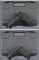 Two Upgraded Sig Sauer P320 Semi-Automatic Pistols with Cases