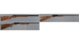 Three Semi-Automatic Rimfire Rifles