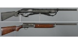 Two Semi-Automatic Shotguns