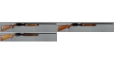 Three Winchester Shotguns