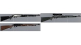 Collector's Lot Of Remington Nylon Series Semi-Automatic Rifles