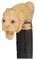 Relief Carved Lion's Head Cane Inscribed for John McCormick