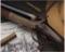 Holland & Holland 8 Bore Underlever Paradox Gun
