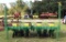 JOHN DEERE 7000 4-ROW PLANTER 38'' ROWS W/SEED & SECTICIDE HOPPERS & ROW MA