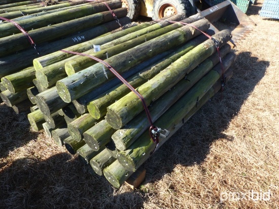 (35) PRESSURE TREATED POST