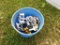BARREL OF PULLY & SNATCH BLOCKS