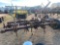 CHISEL PLOW 10 FT.-9 SHANKS...