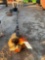Boom Chainsaw