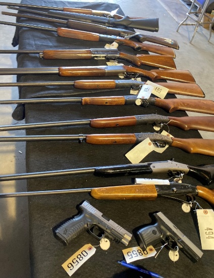 KINGSTREE AUCTION CO GUN SALE JUNE 2025