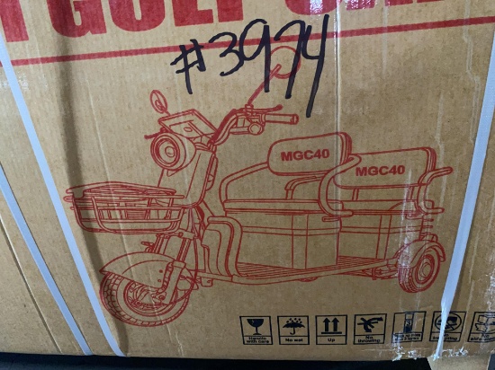 Electric Scooter / Trike
