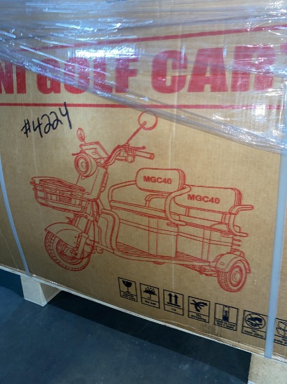 3 Wheeled Scooter