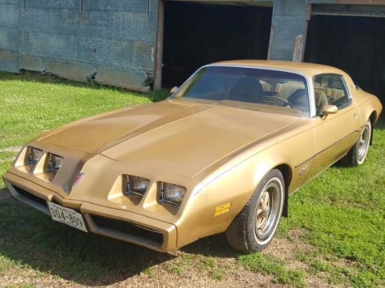 "1980 Pontiac Firebird Esprit All Original 1 Owner, 2dr, 3.8v6/auto, Rally