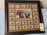 Framed Wild Turkey Stamps 1990-2010