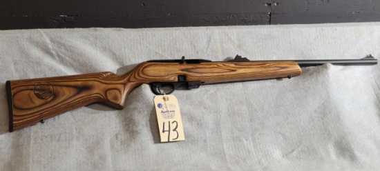 Remington Arms Model 597 .22 Cal L.R