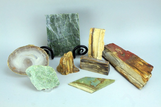 Petrified Wood, Geological Items