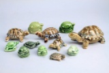 Assorted Wade Porcelain Turtles & Tortoises, England