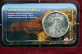 1993 American Silver Eagle