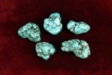 Polished Turquoise Stones