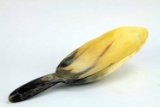 Native Umatilla Indian Horn Spoon
