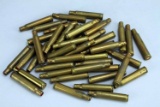 .30-06 U.S. Military Surplus Blanks