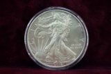 2013 American Silver Eagle