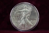 2013 American Silver Eagle