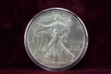 2013 American Silver Eagle