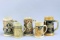 Assorted German Beer Mugs