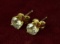 Diamond Stud Earrings - Gold Colored Setting
