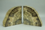 Petrified Wood Bookends