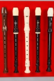 Yamaha, LMI Recorder-Song Flutes & More