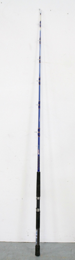 whuppin stick fishing pole