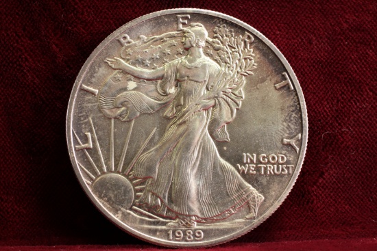 1989 American Silver Eagle