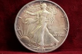 1989 American Silver Eagle