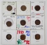 9 Indian Head Pennies; various dates