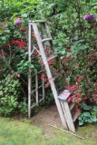 Wooden Ladders