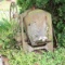 Old Concrete Mixer - Yard Art