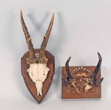 2 Sets of Horns on Board