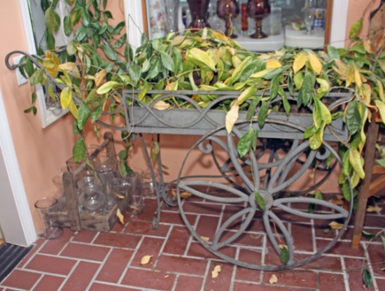 Decorative Metal Cart - Plant Holder