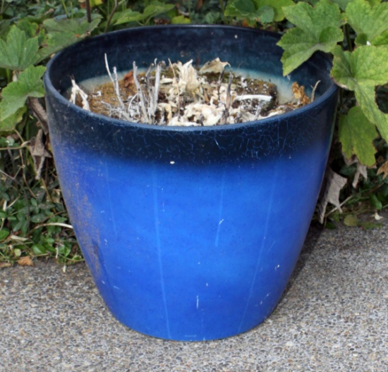 Large Blue Pot