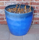 Large Pot