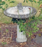 Bird Bath