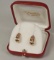 14k Gold Diamond, Ruby Earrings, 2.6 Grams