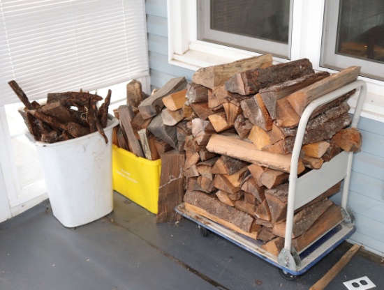 Back Porch: Firewood, Kindling, Cart, Table, Chair, Bird Seed