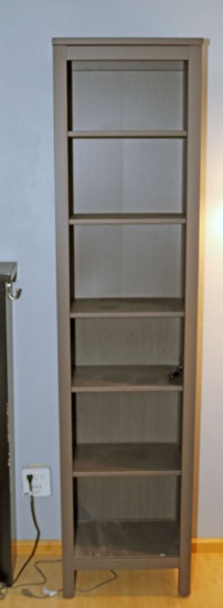 Tall Narrow Bookcase #1