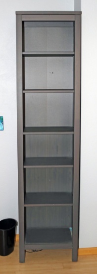 Tall Narrow Bookcase #2