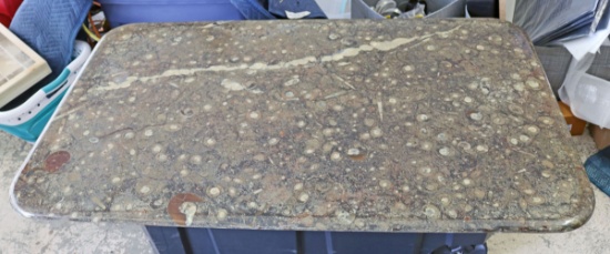 Fossilized Stone Table Top - Ammonites & Orthoceras