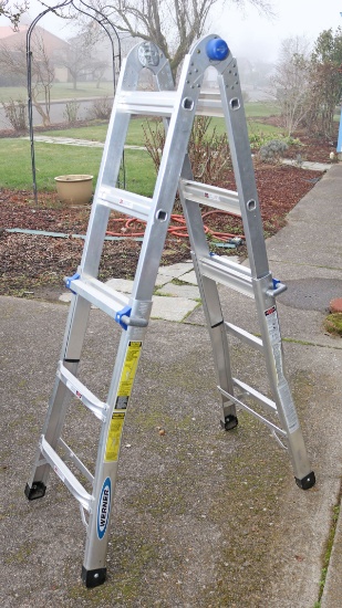 Werner Multi-Task Aluminum Ladder