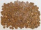 4.7 Lbs. Wheat Pennies