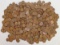 6.14 Lbs. Wheat Pennies